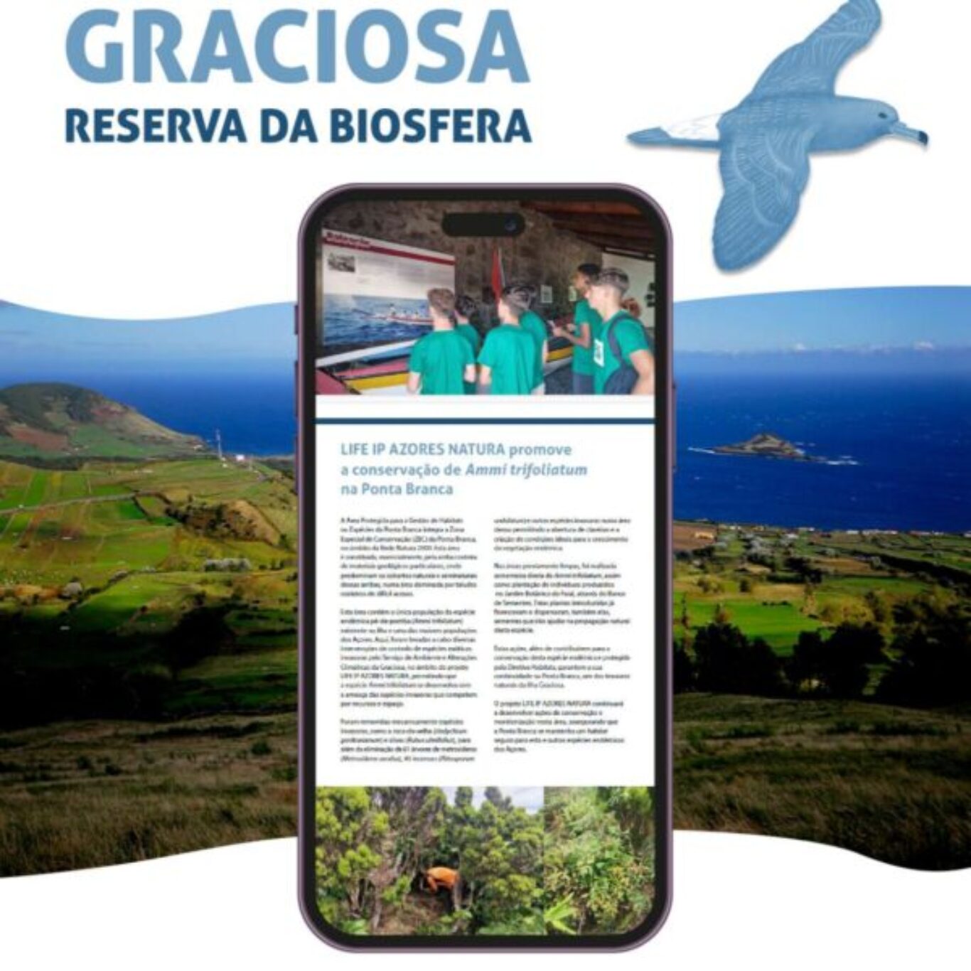 4.ª Ed. da Newsletter RB da Ilha GRACIOSA